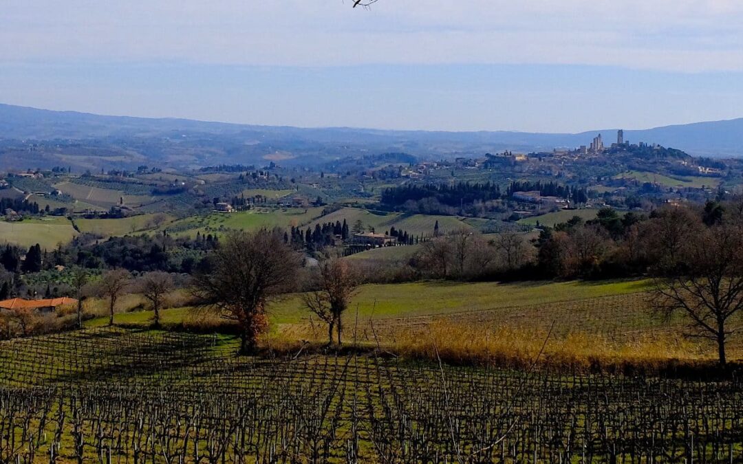 Pancole e Cellole | Silenzio e accoglienza lungo la Via Francigena