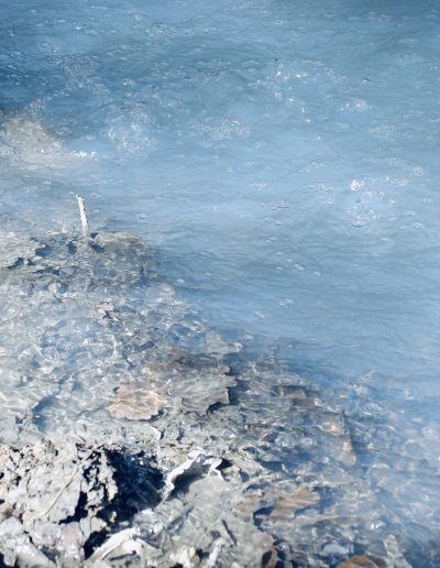 Anello dei bollori - Le acque della sorgente ipotermale - Breve escursione da Pompone e Pola ai Bollori