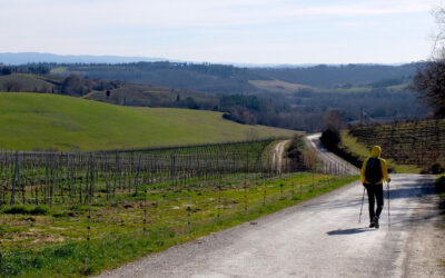 Hiking in Tuscany: loop from Gambassi to San Gimignano and Volterra along the Via Francigena and Via del Sale