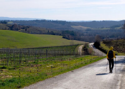 Via Francigena