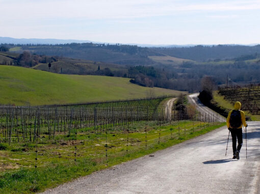 Via Francigena