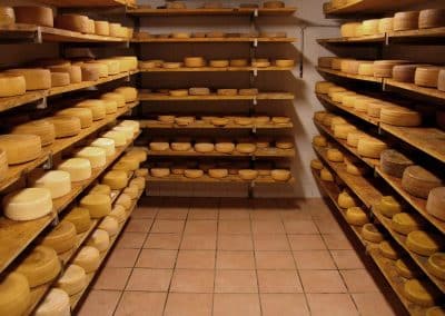 Poggi di Camporbiano - i nostri formaggi