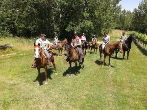 Horseback riding with wine and oil tasting