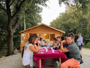Flavors in the woods guided tasting