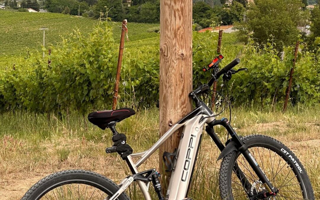Scopri il nostro territorio in e-bike!