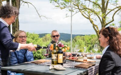 Degustazioni a Gambassi: sapori autentici delle colline toscane