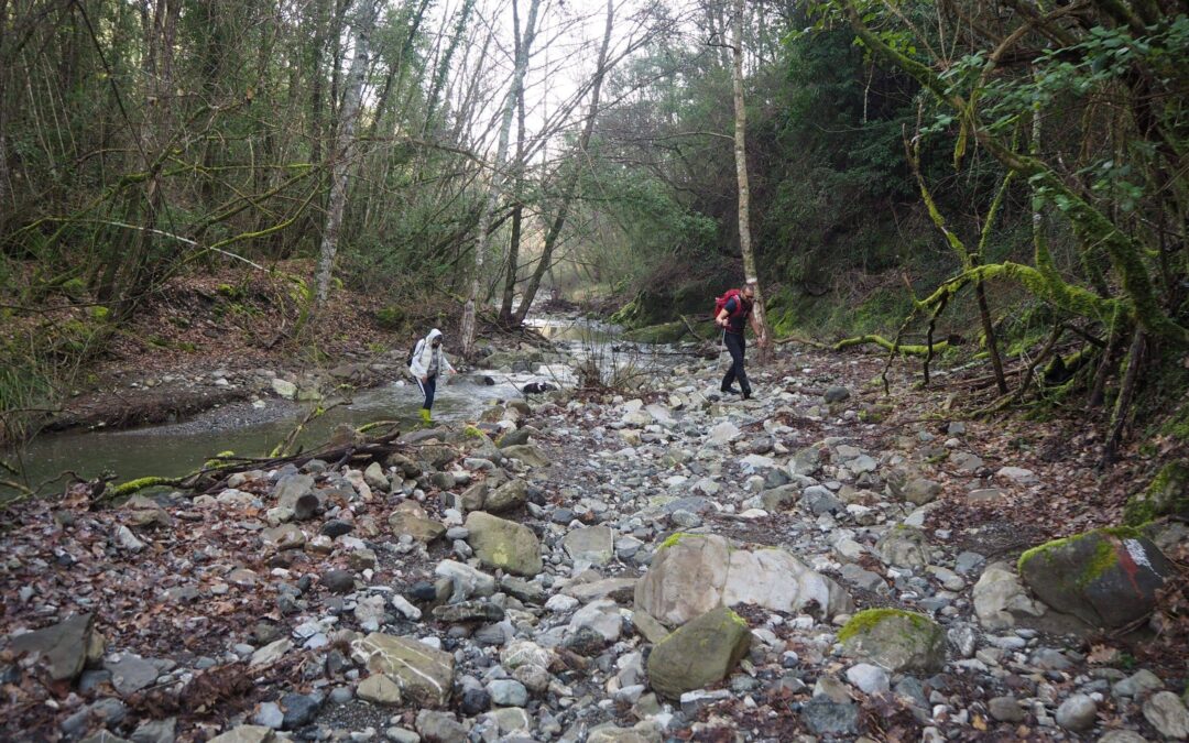 Casciani trails