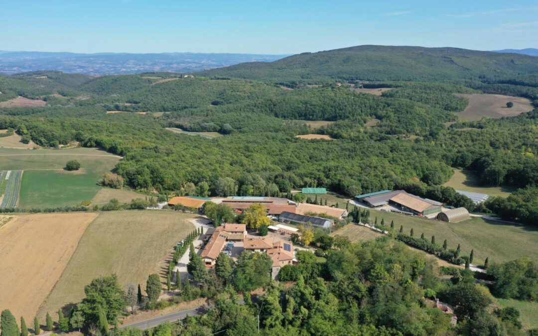 POGGIO DI CAMPORBIANO
