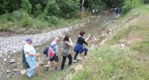 Trekking nei sentieri lungo il torrente dei Casciani a Gambassi, alla scoperta della Toscana autentica