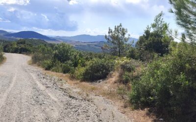 Francigena e Itinerari in Toscana. Vivi Gambassi Terme!