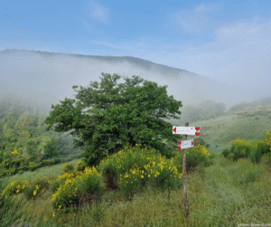 Sentiero naturalistico tra le colline di Gambassi, ideale per il trekking