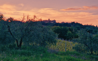 A journey through taste, nature, wellness at Gambassi Terme