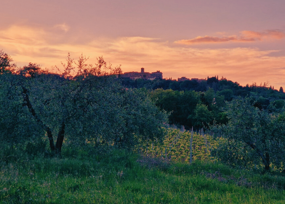 Gusto, natura e benessere a Gambassi Terme