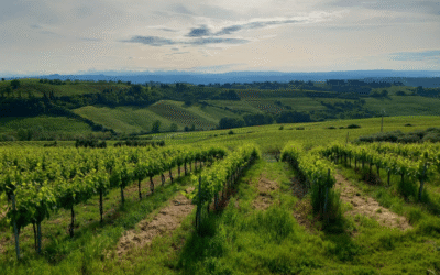 5 buoni motivi per scegliere la campagna vicino Firenze