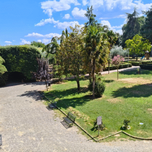 Gallerie di leccio nel Parco Comunale di Gambassi e in alto a destra, che si intravede tra gli alberi, l'area giochi per i bambini.