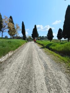 Trekking lungo la Via Francigena Toscana