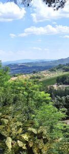 Vista di San Gimignano da Gambassi Terme