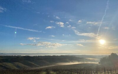 Gambassi Terme in January: tales from a month of tranquillity and authenticity